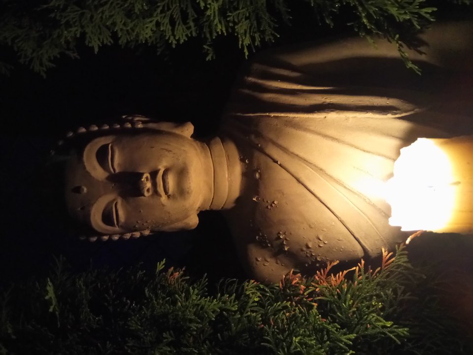 DSC_0236.JPG - deimos69