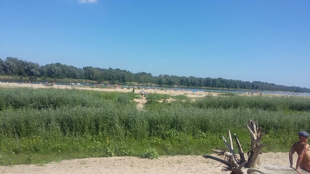 wesolymasazysta