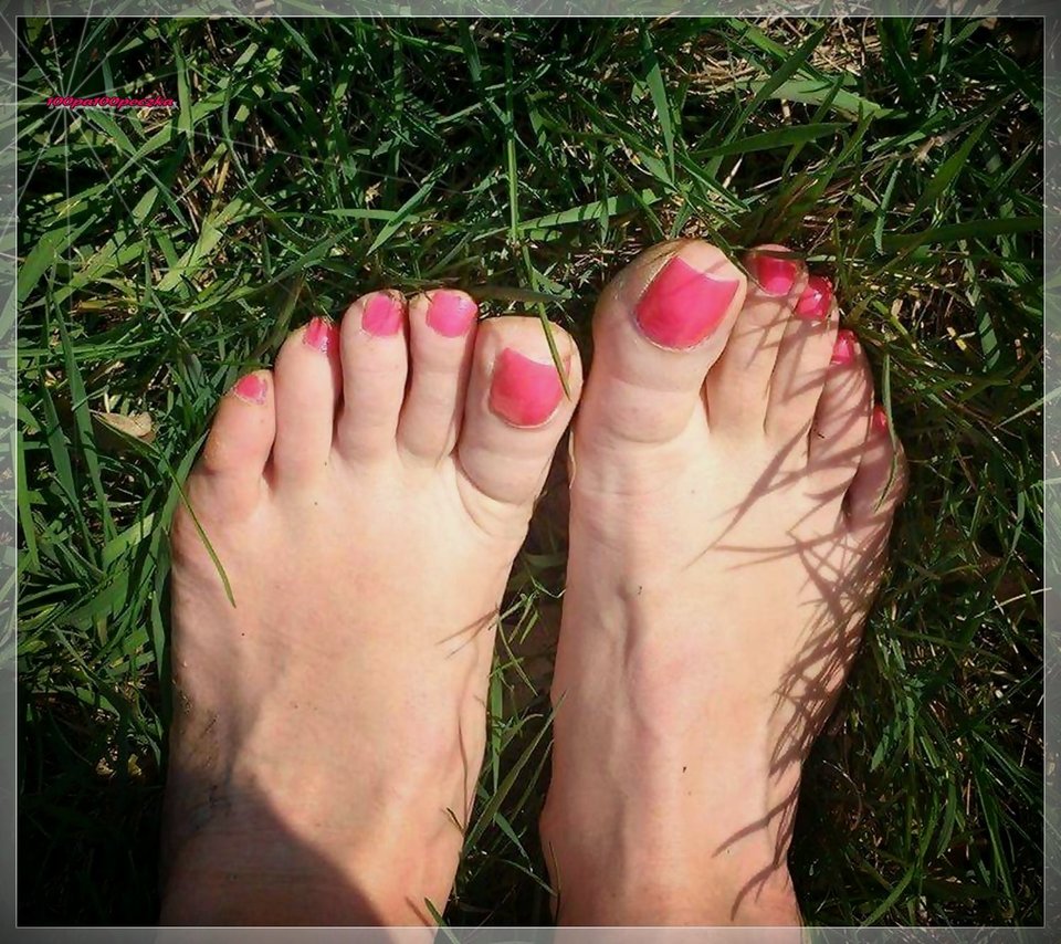 Na łące - 100pa100peczka