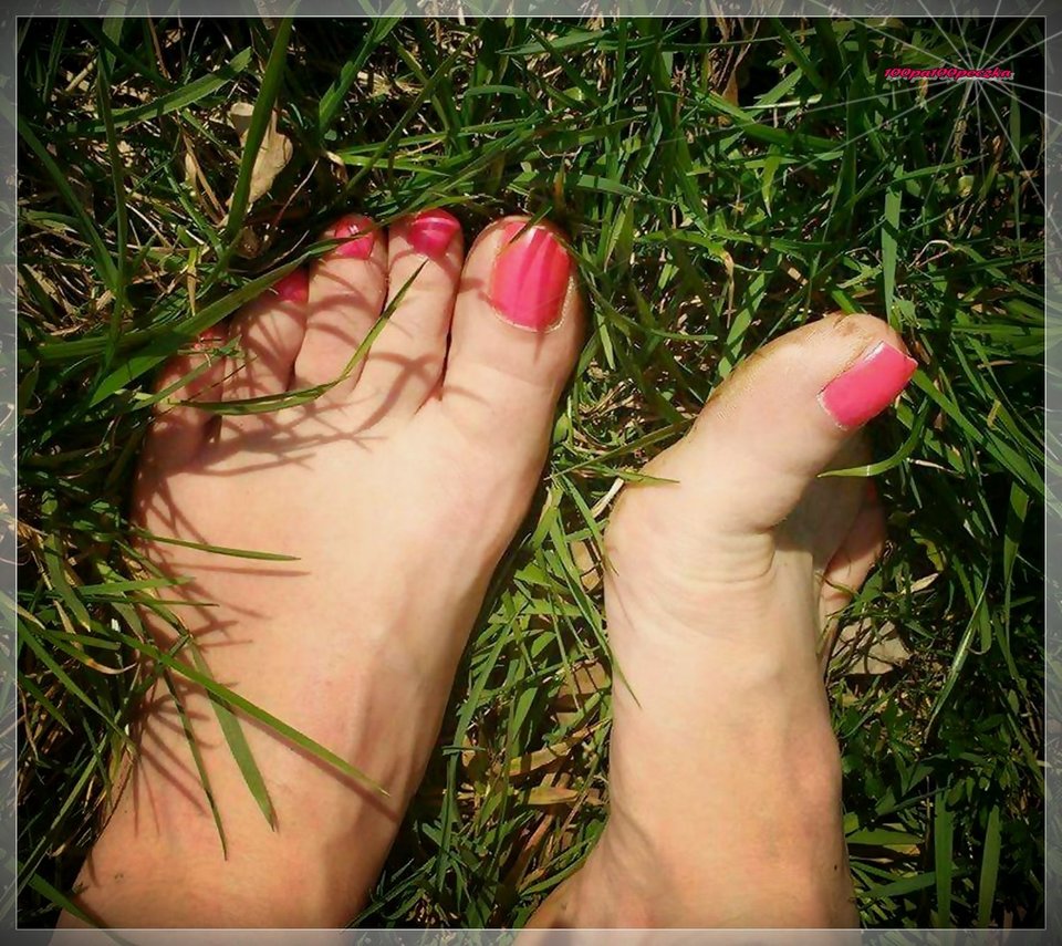 Na łące - 100pa100peczka