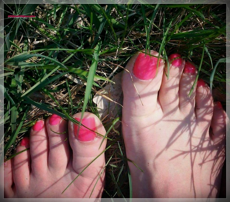 Na łące - 100pa100peczka