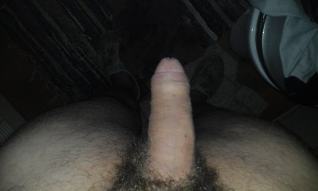 Dawid8417