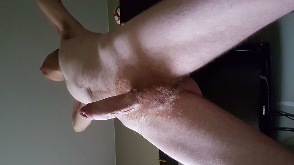 20170916_065105.jpg - piotrslawski1978