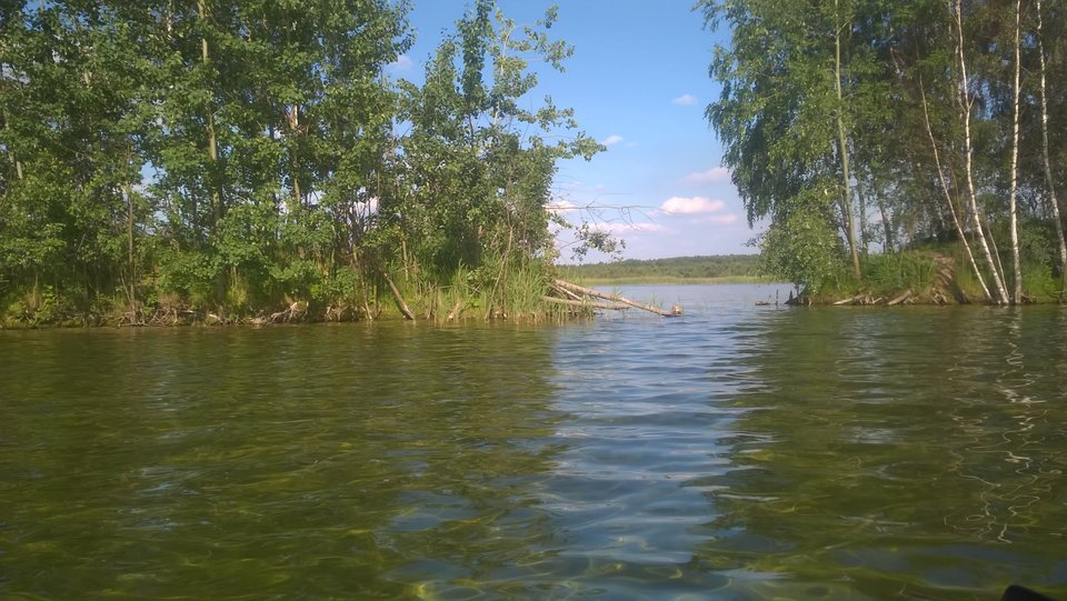 Pogoria  - Chesterfield_