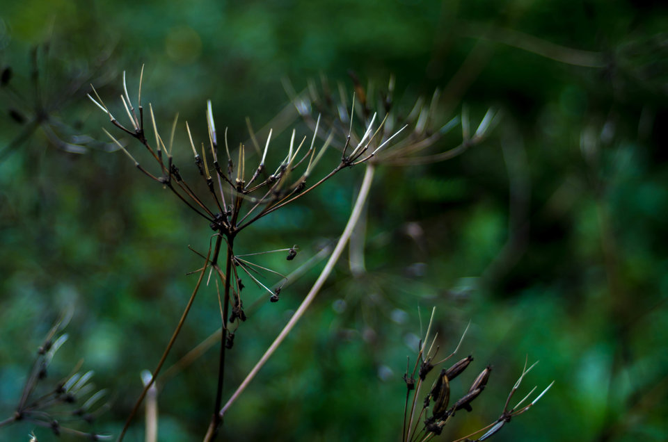 A tak było pięknie.... - mystic
