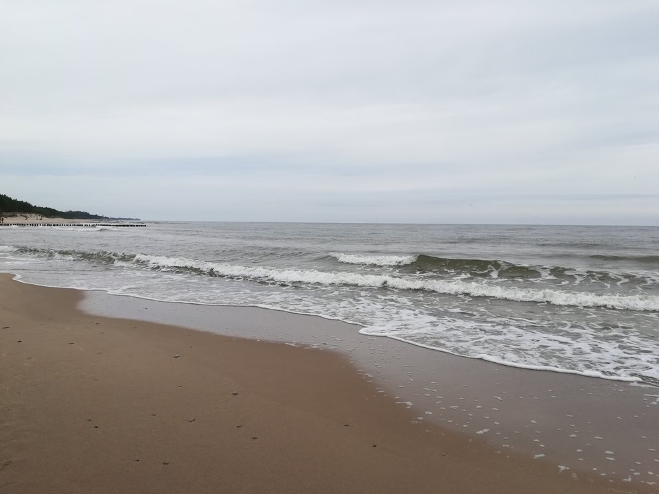 IMG_20170910_101530.jpg - tiburon73