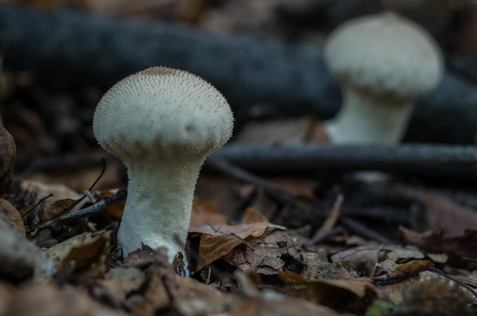 I jeszcze jeden... - mystic