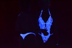 Jacuzzi Club & Resort