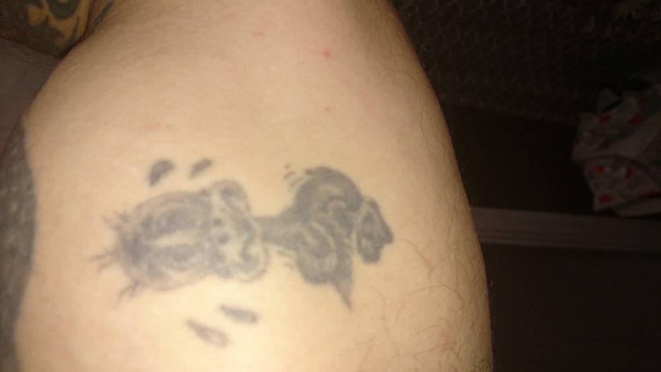 DSC_0803.JPG - Robi7474