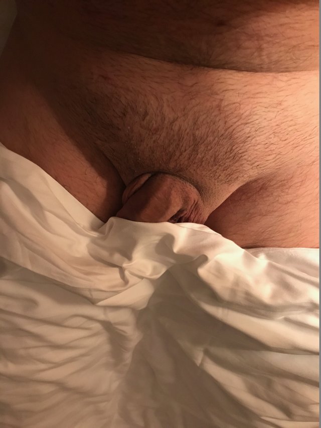 pan1342