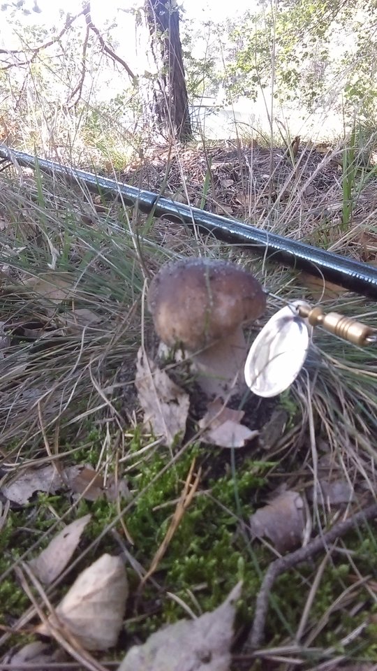 IMAG0140.jpg - wulkan696969