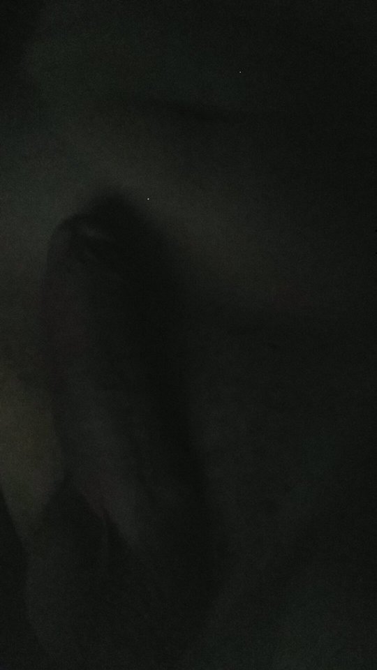 21979403_1358337104276751_882426794_n.jpg - Majki853