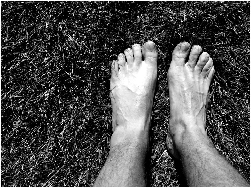 IMG_0282.JPG - DROGO