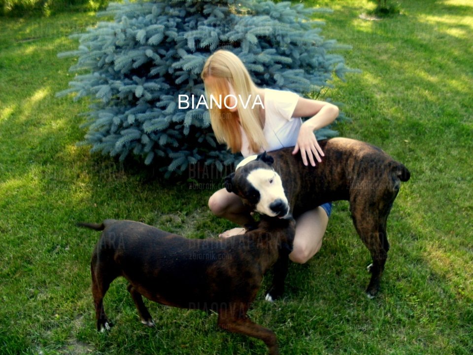 SDC10025.JPG - bianovapara