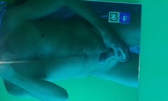 20160118_180416 (2).jpg