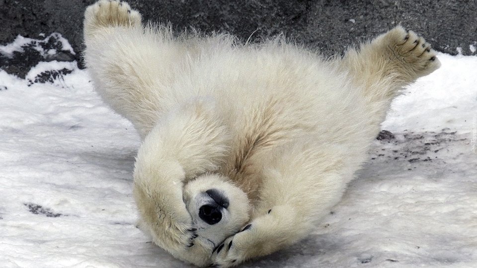 Już nie mogę... - neodarek