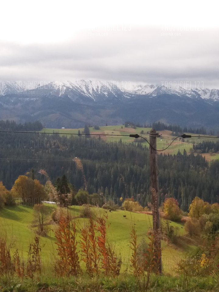 20171010_105308.jpg - tropiciel123