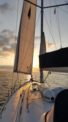 W Sardynii niektóre sardynki bardzo dużo miały smaku 😁