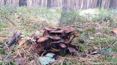 20171013_111718.jpg