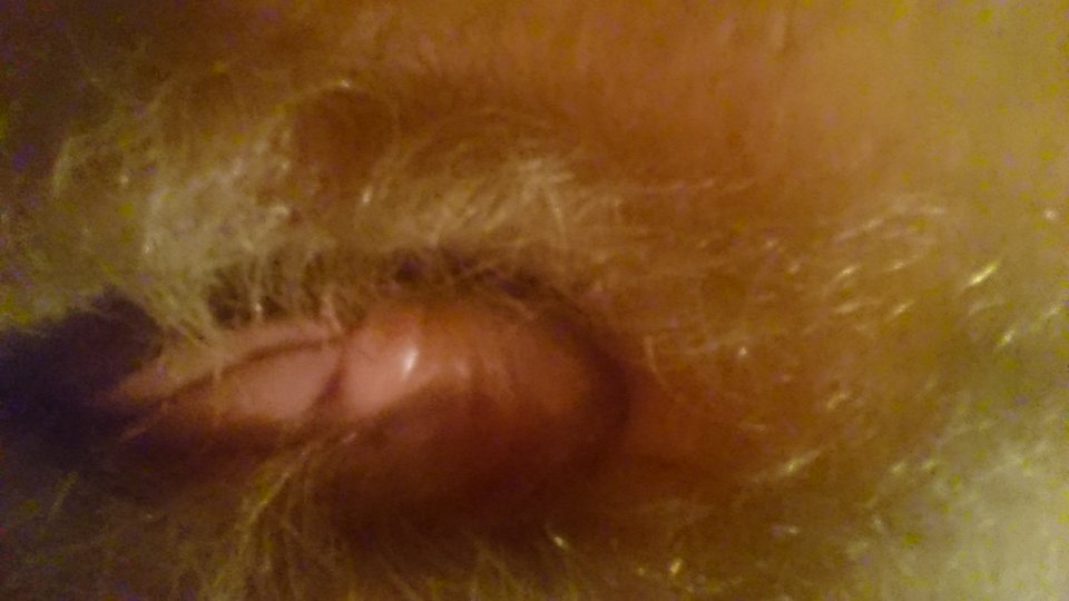 2016-02-28.jpg - kotus66