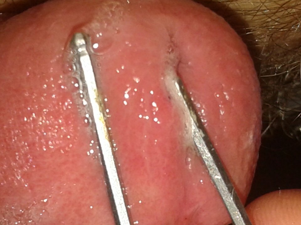 20171015_234159.jpg - janekoko4