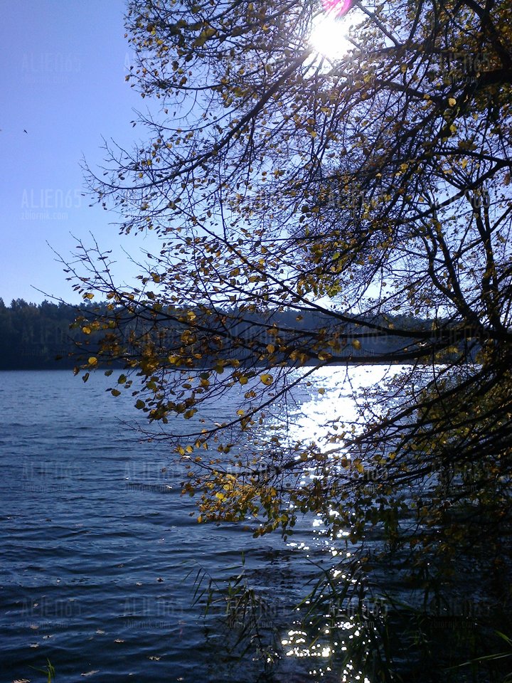 Zdjęcie0679.jpg - Alien65