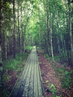 IMG_20170812_214043.jpg
