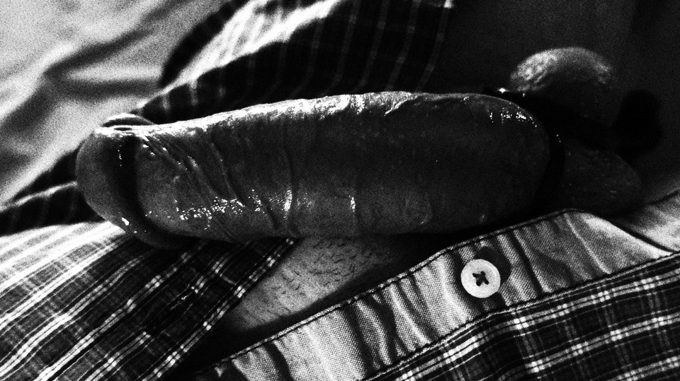 IMG_2440.JPG - brunet40dl