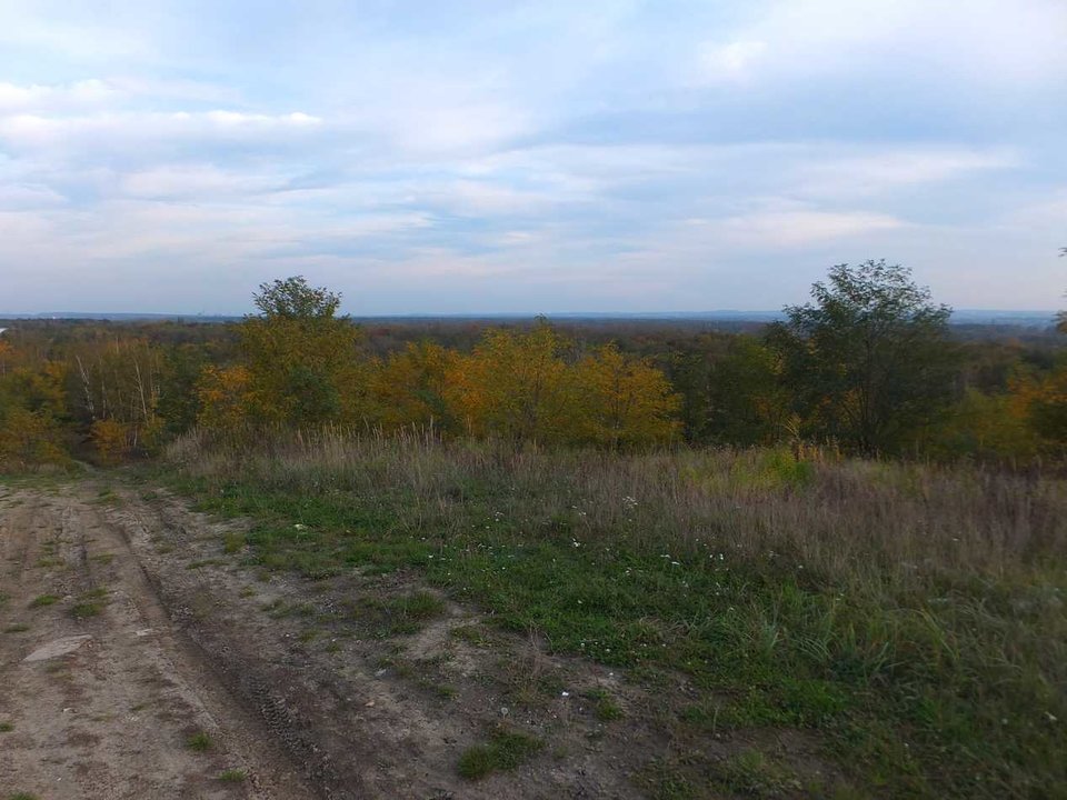 DSCF6793.JPG - olo_sl