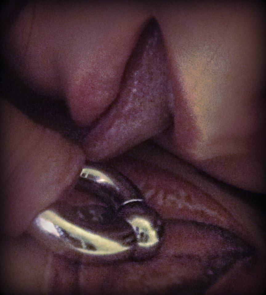 IMG_1358.JPG - Simonski