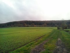 2017-10-21 18.00.59.jpg