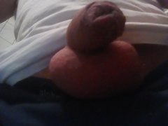 tmp-cam-1552920110.jpg