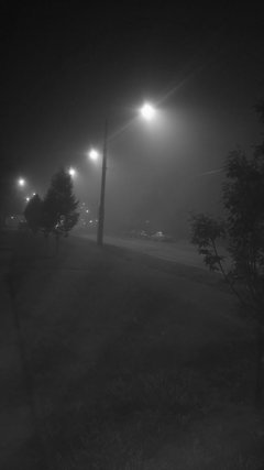 IMG_20171022_062120.JPG
