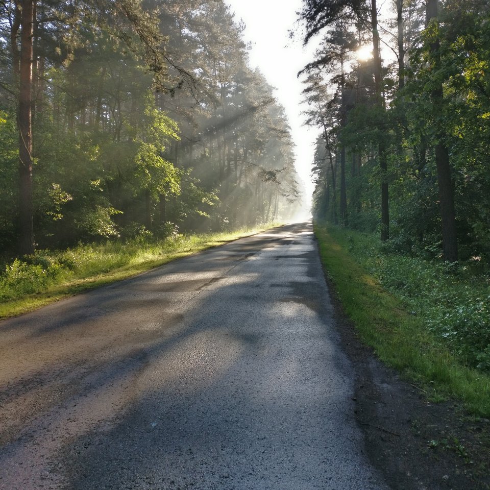 1495862609248.jpg - Turkusowy