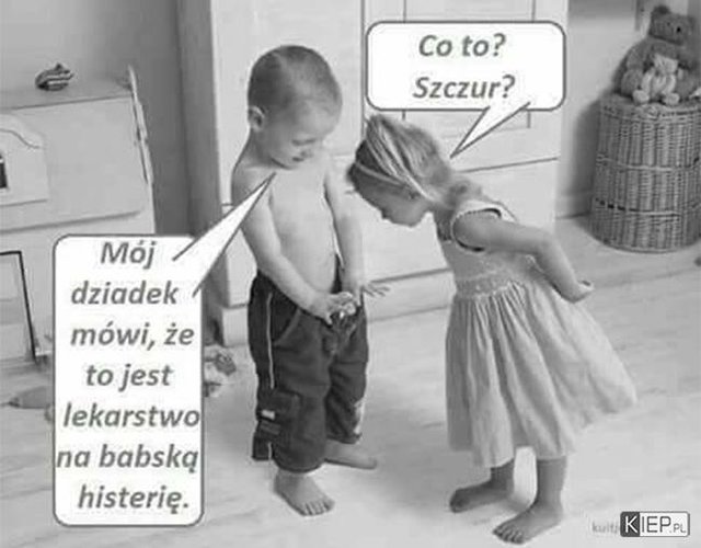 59ed57ec6e809.jpg - BORSUK100