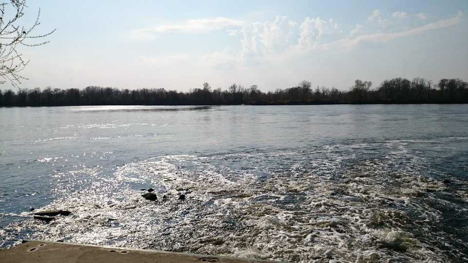 DSC_0207.JPG - Pussylingus