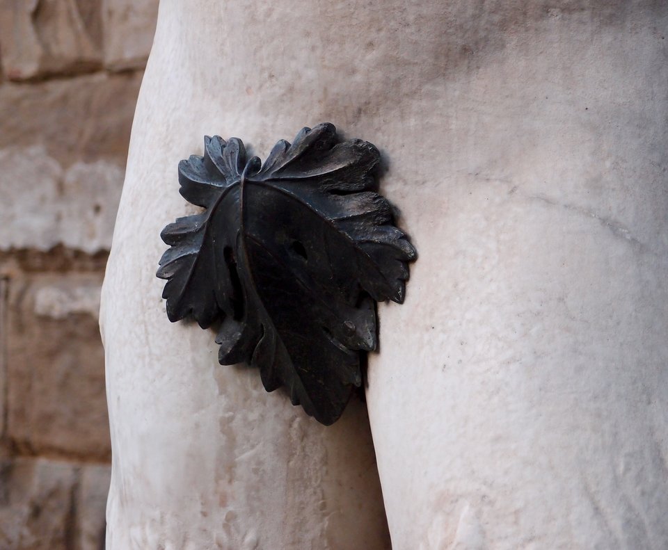 fig-leaf-1657854_1920.jpg - shaolini