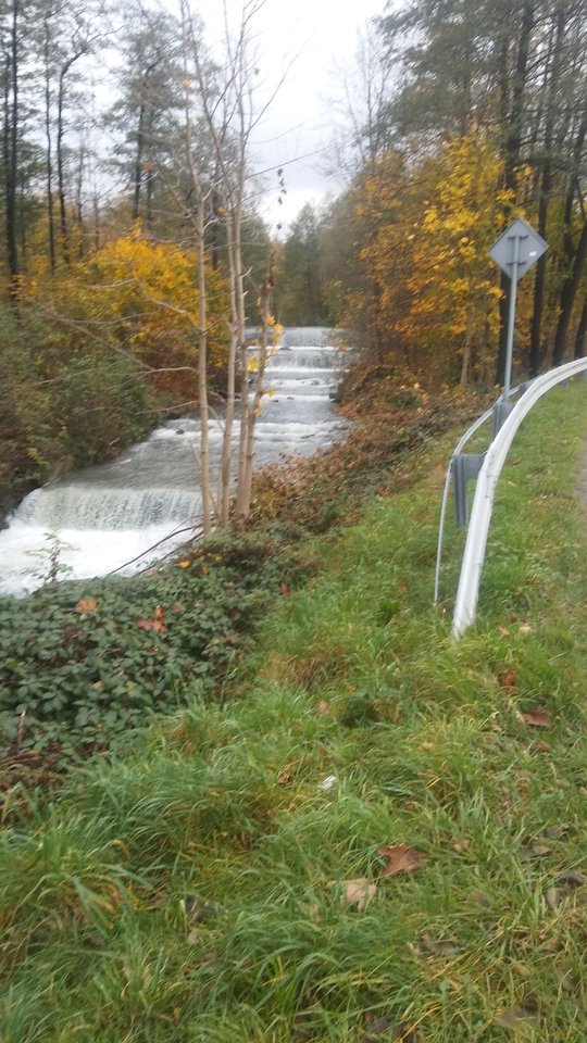 20171024_153958.jpg - ewawojtek8074