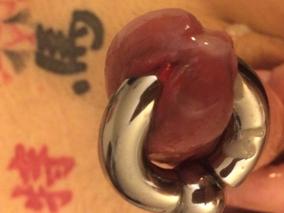 IMG_1362.JPG - Simonski