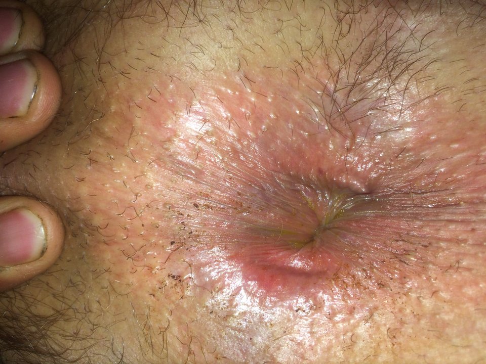EC7A742E-9D1D-4301-9208-C430C87E1594.jpeg - bisexja