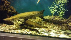 20160706_182704.jpg