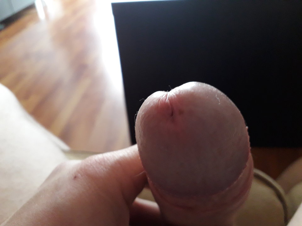 150996874376278722449.jpg - twardy18cm