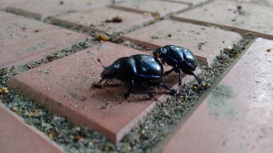 IMG_20160519_152758834.jpg - Sex_jest_przereklamowany