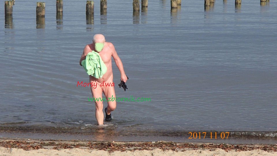 Babie Doły - Morsy_dwa