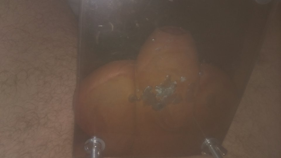 DSC_0486.JPG - zbyhof