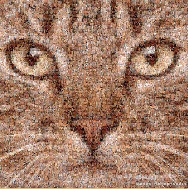zbok12345