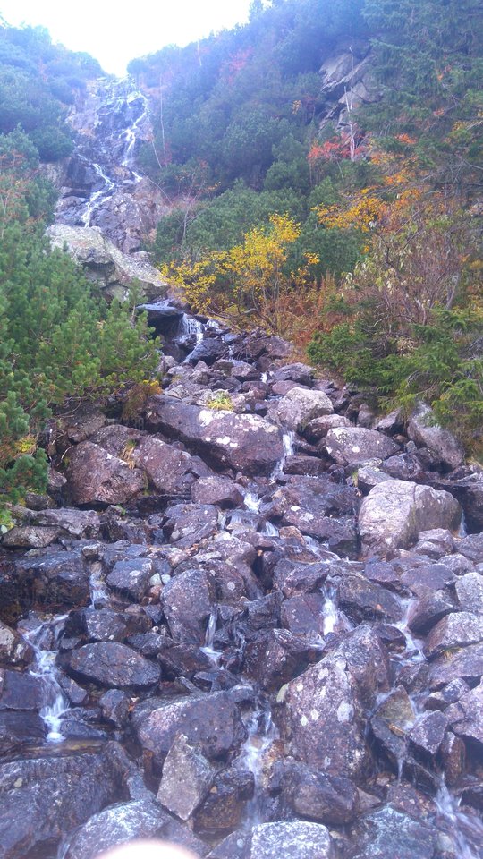 DSC_1263.JPG - paik238