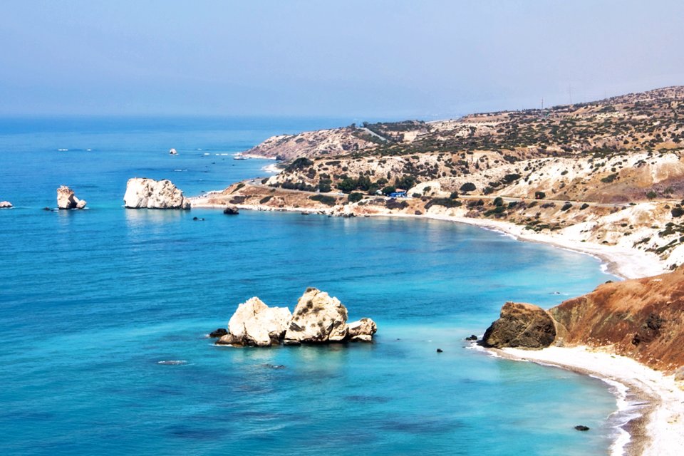 noname.jpg - BlueStevia