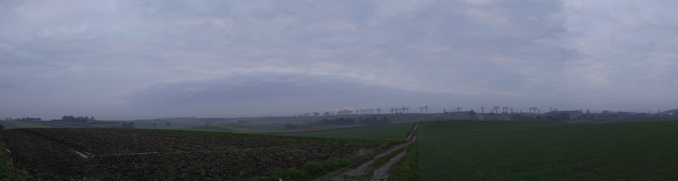 _1000262.JPG - FoKam431