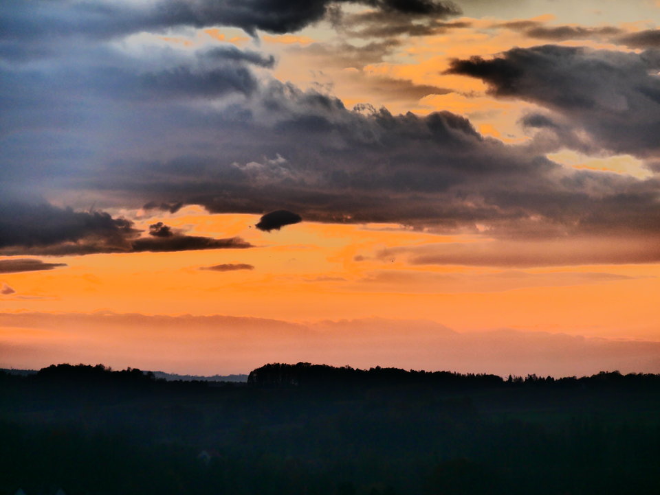 P1000309.JPG - FoKam431